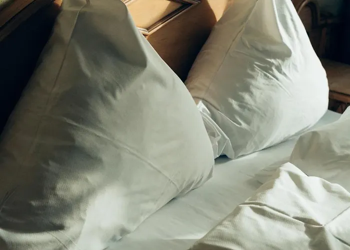 Apartman Superior Mit Hund H2 Spalt